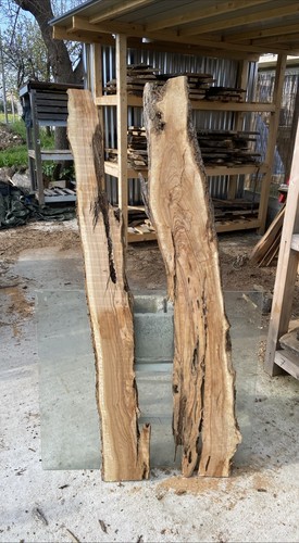 Tavole legno ulivo max - di,