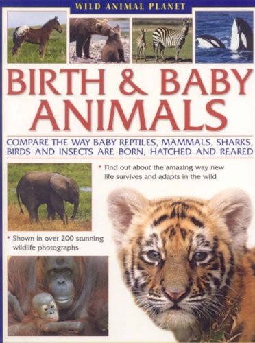 Wild animal planet birth - birth, and