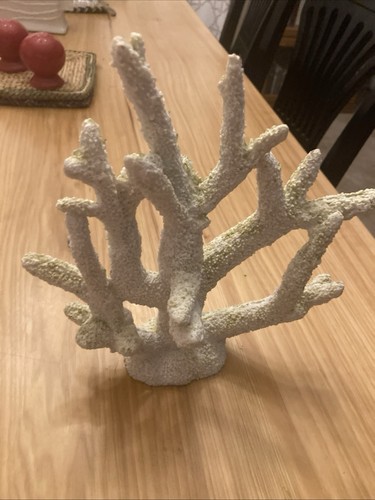 Scultura barriera corallina