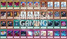 Mazzo Dino Coniglio Maxx "C"