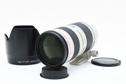 Top mint con cappuccio - con, canon