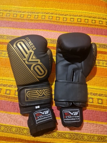 Guanti boxe evo - da,