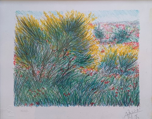 Litografia franco azzinari - litografia,