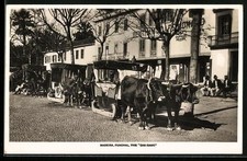 Madeira, Funchal, The