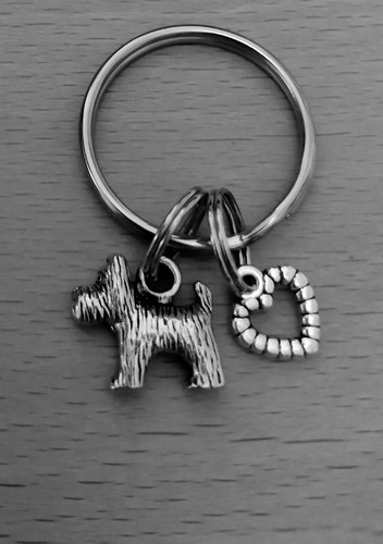 Adorable little dog heart - dog, &