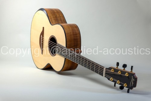 Lowden f50 tazmanian blackwood - lowden,