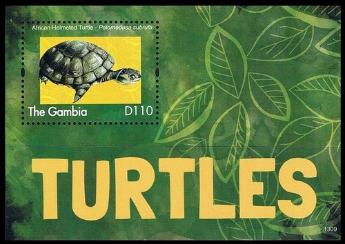 Gambia 2013 mnh turtles - gambia,