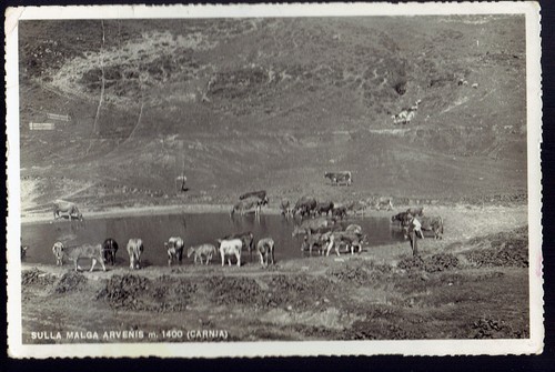Ovaro laghetto alla - laghetto,