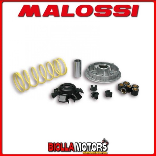 5111838 variatore malossi - 5111838,