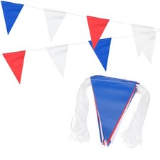 Bandiere gagliardetto 100