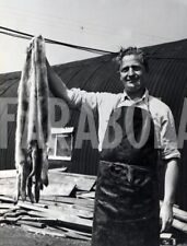 Foto Vintage Animali Regno