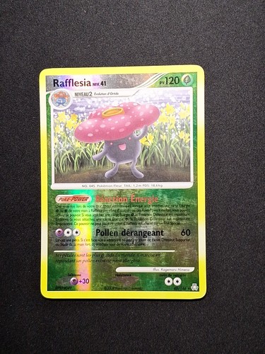 Reverse rafflesia 146 - rafflesia, dp