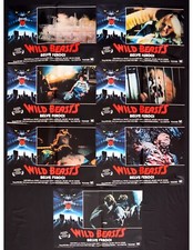 fotobuste WILD BEASTS Belve