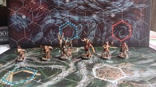 Warhammer Underworlds Profanatori Di Grashrak Pro-painted+ Carte Ita con Bustine