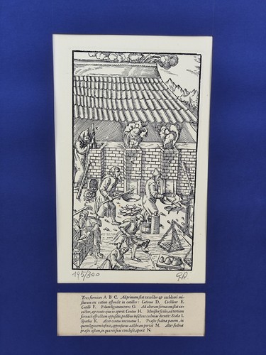 Illustrazione re - illustrazione, da