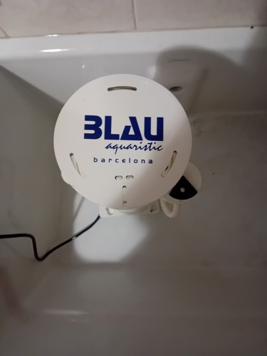 Schiumatoio blau aquaristic - schiumatoio,