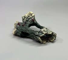 Acquario Pesciera Tunnel