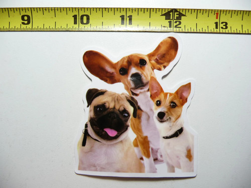 Fratelli carlino beagle jack - carlino,