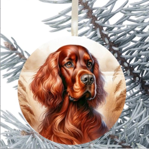 Setter rosso decorazione - setter,