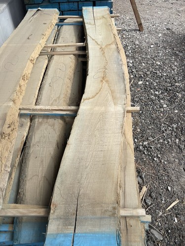 Segato legno frassino europeo - frassino,