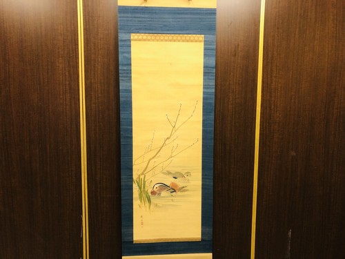 Y6547 kakejiku anatra - y6547,