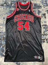08-09 Chicago Bulls edizione