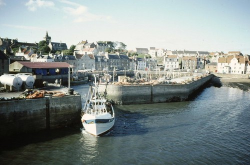 Photo 6x4 pittenweem harbour - photo,