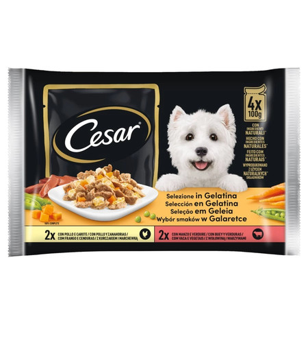 Alimento umido per cani - cani, cesar