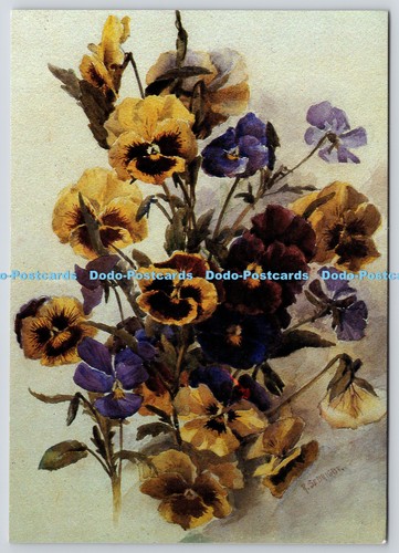 L354809 pansies medici society - pansies,