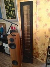 Diffusori Elettrostatici Audiostatic ES 100