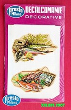 natura morta pesci decal