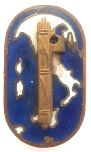 Pin distintivo pnf - distintivo, anni