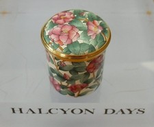 Halcyon Days Camelias