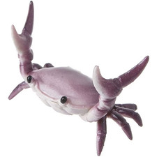 Design Creativo Del Portapenne