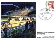 Cesena TEMATICA CAVALLI HORSES