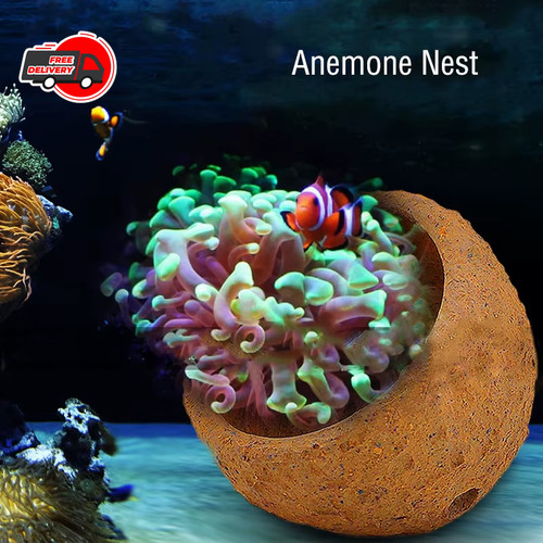Hand made aquarium reef tank - made,