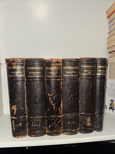 Dizionario della lingua - dizionario,