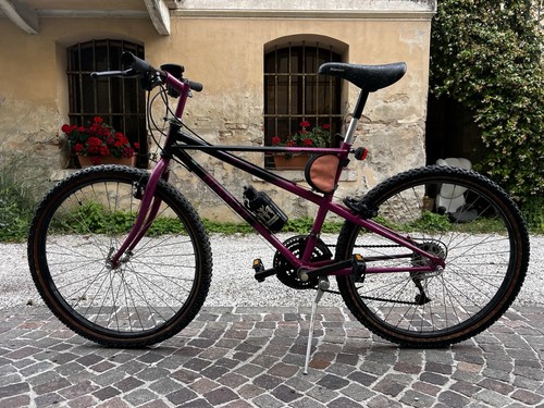Mtb bianchi thomisus ragno - mtb,