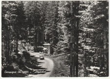 CAMPIGNA - FORLI' - ALPENBAR - VIAGG. 1960 -8208-