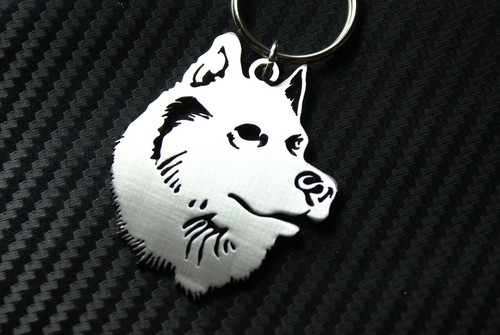 Husky siberian eskimo sled dog - sled,