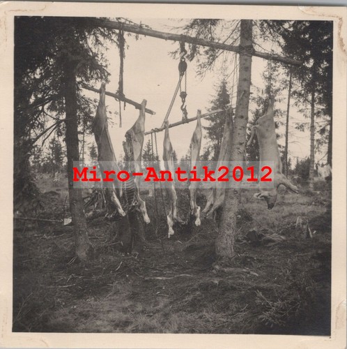 Foto ww2 macellaio - foto,,