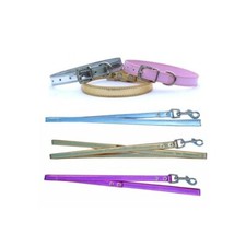 Set collare + guinzaglio