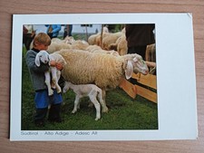 cartolina molto grande ITALIA