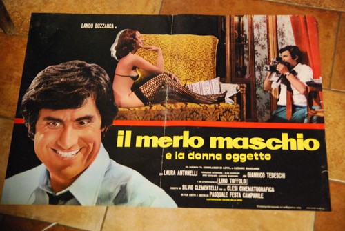 Film merlo maschio - film, il