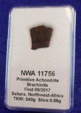 METEORITE NWA 11756- Primitive Achondrite Branchinite - SAHARA - 2017