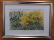 Azzinari Franco: Ginestre serigrafia in cornice, con certificato di garanzia