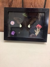 Pannello finestra farfalla