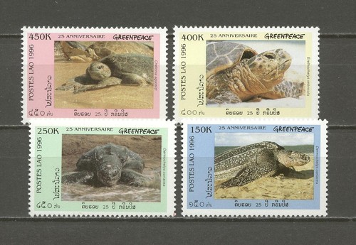 Animali animals tartarughe - animals,,
