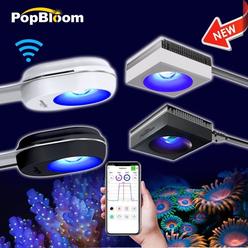 Popbloom rl60 rl90 luce - rl60, marina