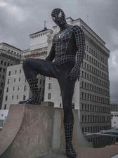 Costume cosplay uomo ragno